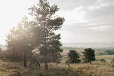 eine Landschaft im Gegenlicht der Sonne