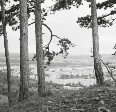 eine Landschaftsfotografie mit Bäumen im Vordergrund